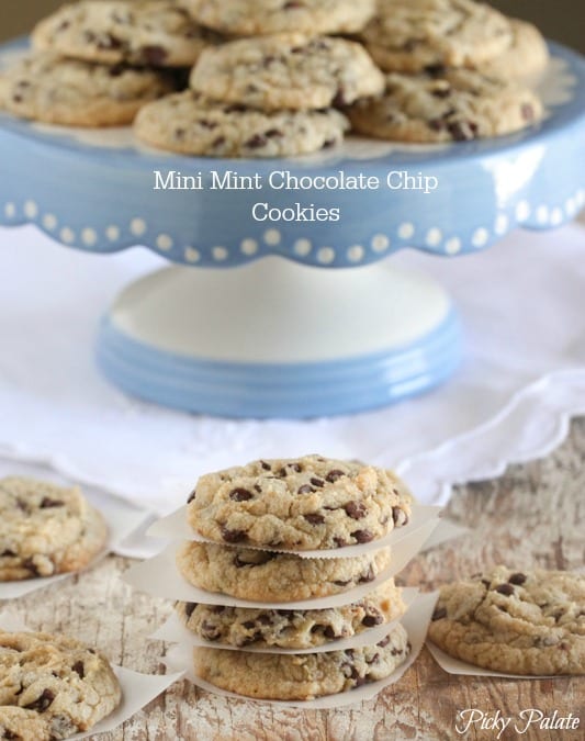 12 galletas que debes tener