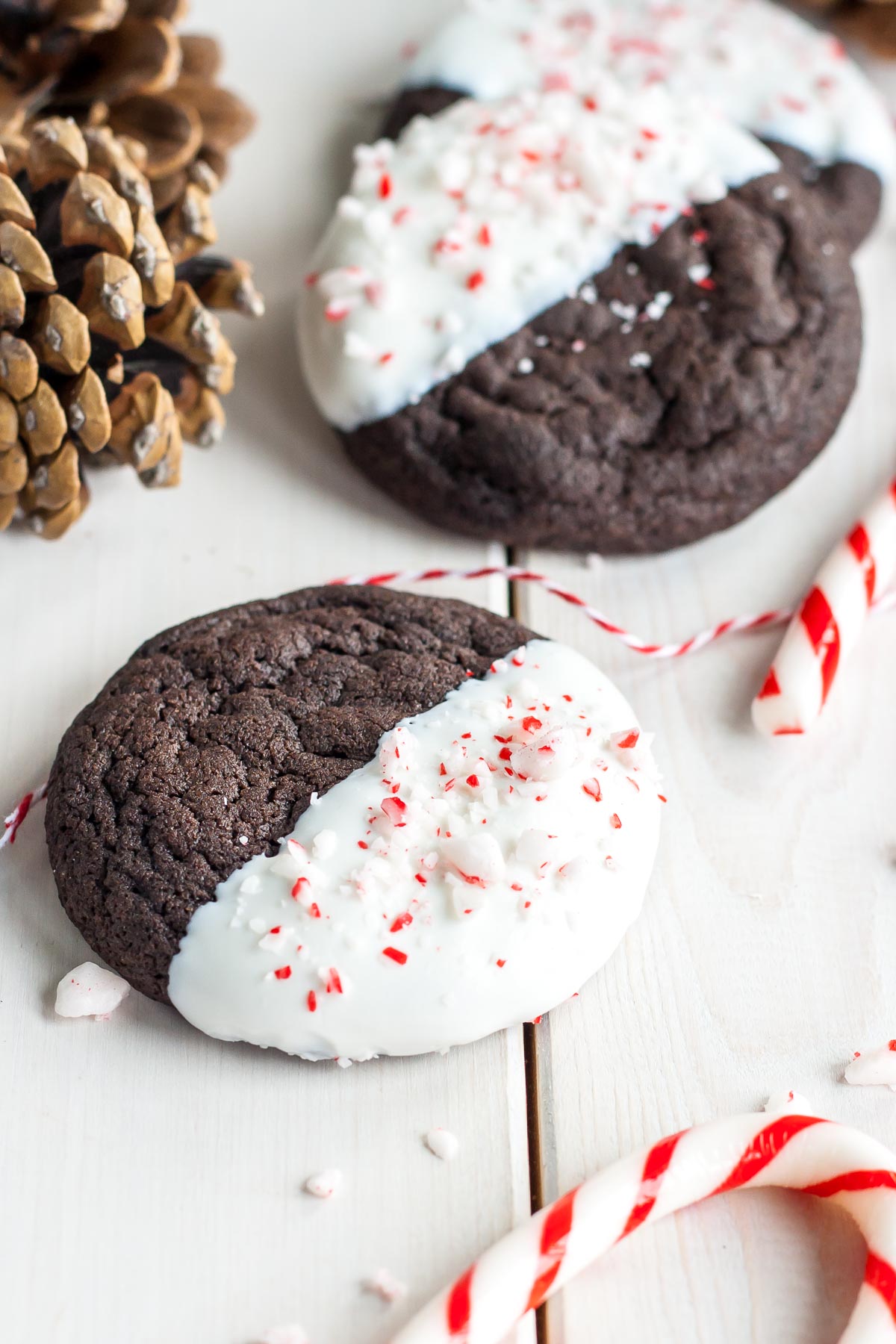18 galletas navideñas para difundir la alegría navideña | 31Daily.com