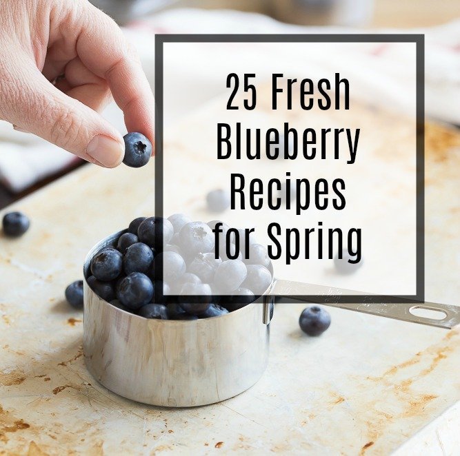Prepárate para la temporada de arándanos babeando sobre esta colección de 25 Recetas de arándanos frescas que rebosan de jugosas bayas de temporada. Las recetas incluyen postres, ideas para el desayuno, platos sabrosos, bebidas, ¡e incluso algunas que tienen nuestro combo de arándanos con sabor favorito!