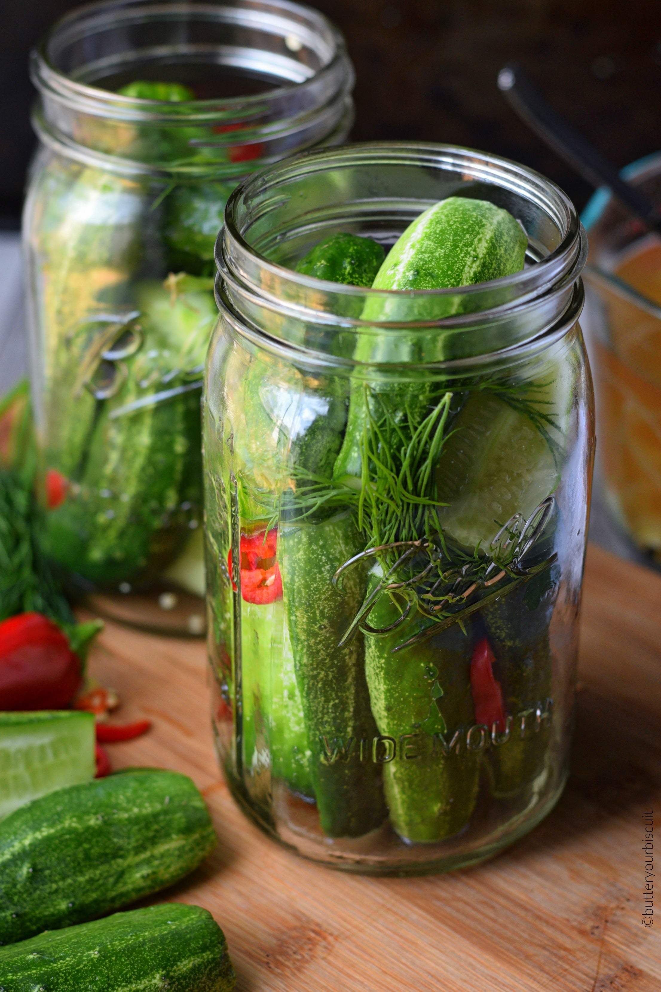 ajo jalapeños eneldo refrigerador encurtidos