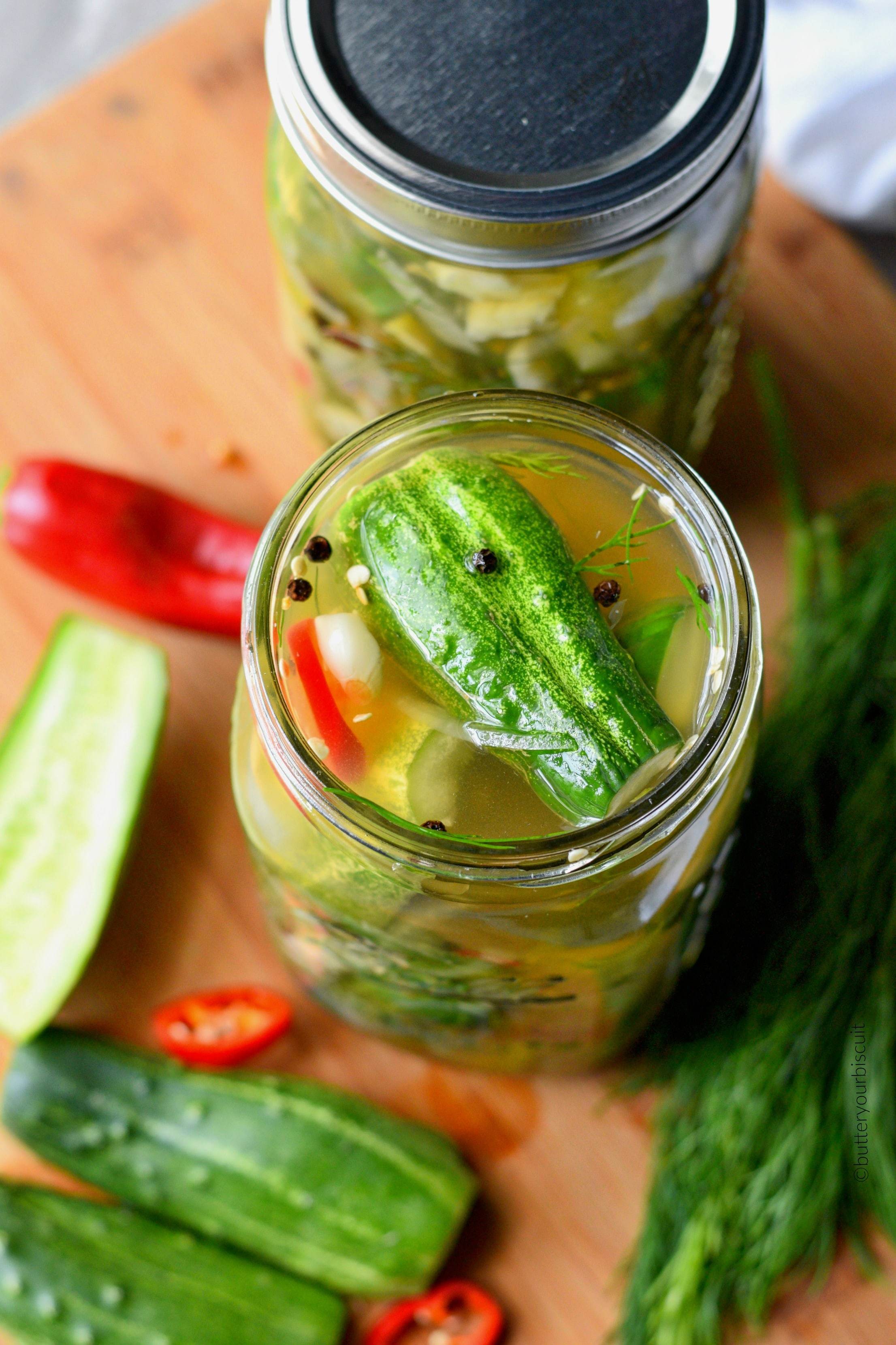 ajo jalapeños eneldo refrigerador encurtidos