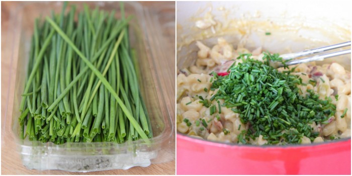 Receta De Macarrones Con Queso