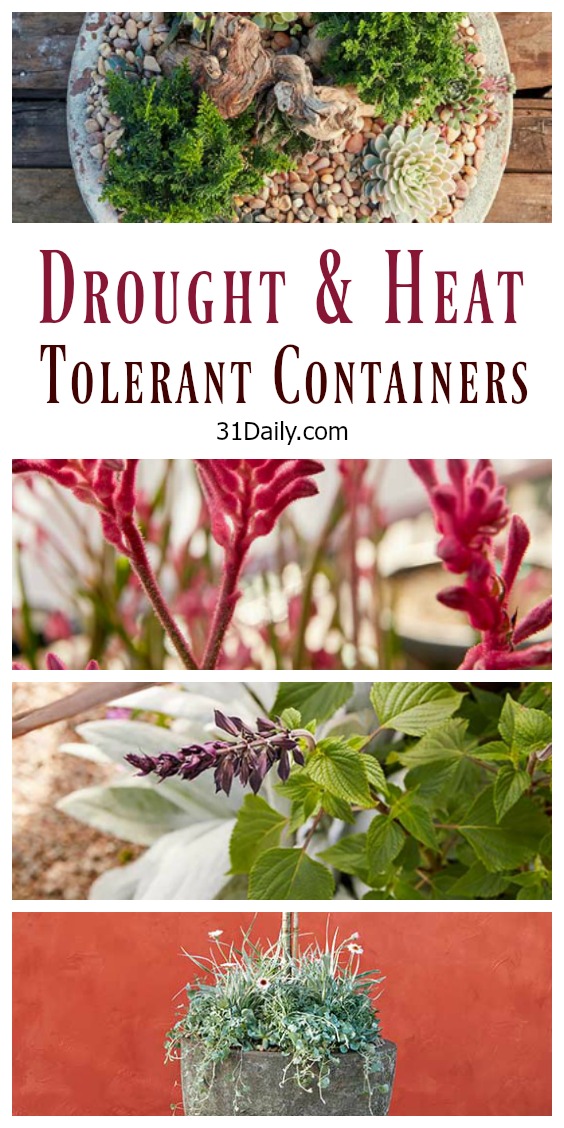 Pin-HeatTolerantContainer