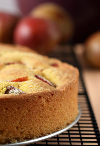 Plumcake_3