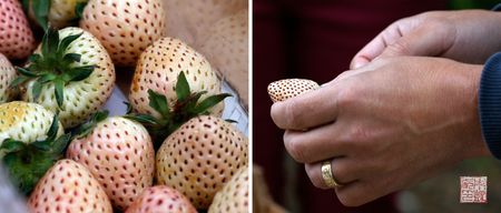 Whitestrawberries