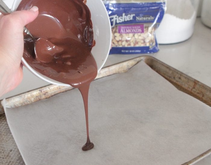 Día de la corteza de chocolate
