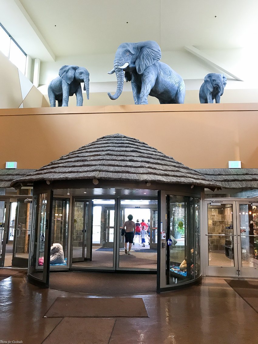 Reserve una experiencia de verano en Kalahari Resorts, llena de nuevos toboganes y atracciones para toda la familia bajo el techo de un solo techo; ubicaciones en OH, WI, & PA.