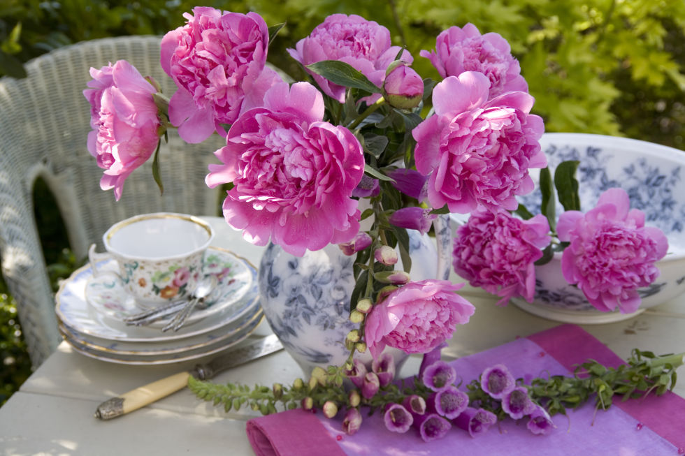 Flores florecientes de primavera que todo jardĂn deberĂa tener | 31Daily.com