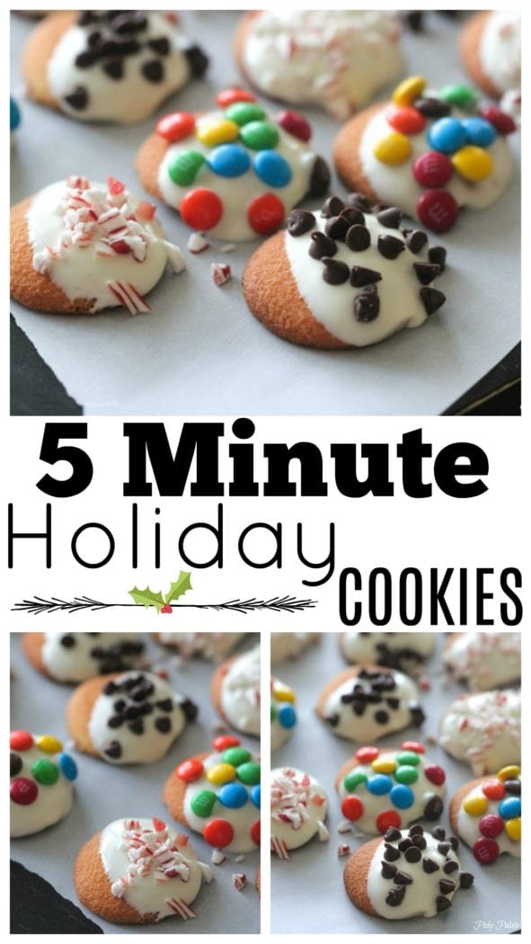 cookies de vacaciones