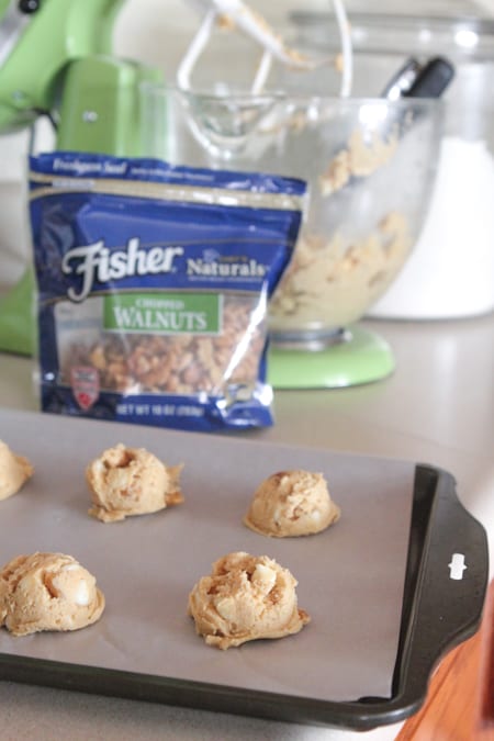 Galletas bañadas en chocolate