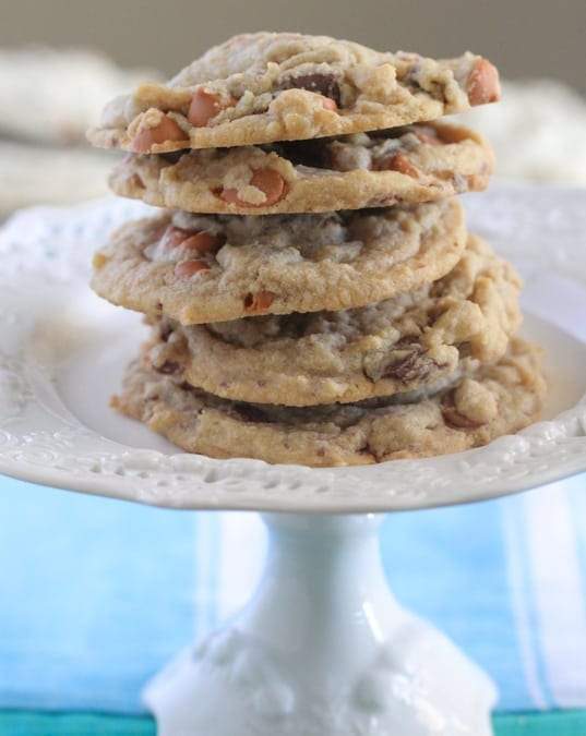 Butterscotch Chocolate Chunk Pudding Cookies