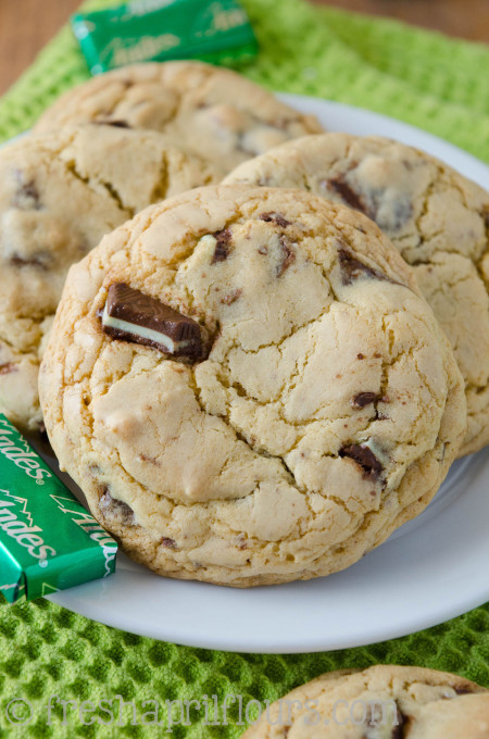 menta-galletas-andes-3