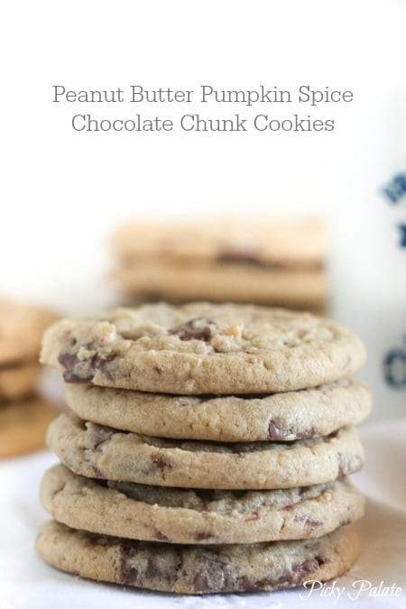 Mantequilla de maní Calabaza Especias Chocolate Chunk Galletas 