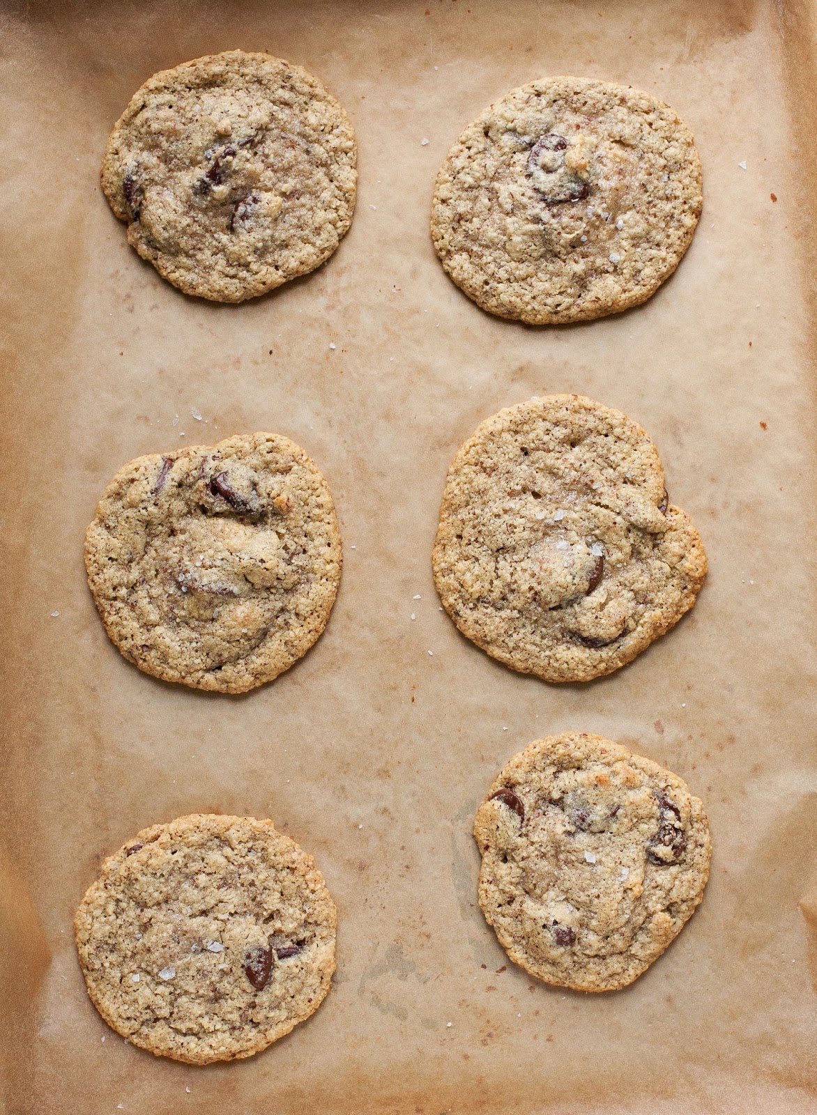 Galletas saladas de chocolate con avellanas (sin grano)