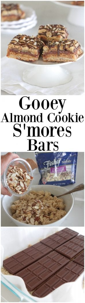 Barras S'mores