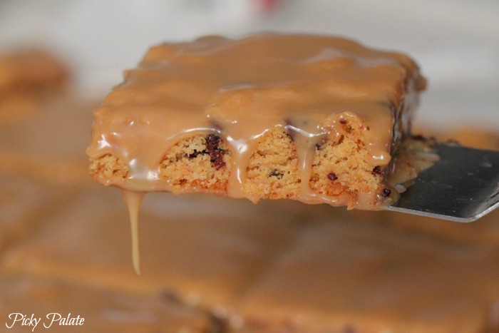 Gooey Biscoff Chocolate Chip Cake Bars-37t