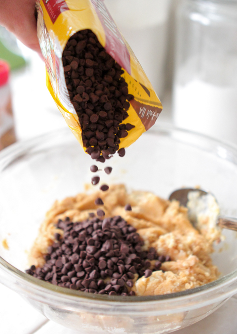 Gooey Biscoff Chocolate Chip Cake Bars-24