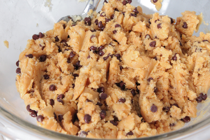 Gooey Biscoff Chocolate Chip Cake Bars-25