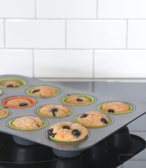 Muffins de yogur griego de trigo integral