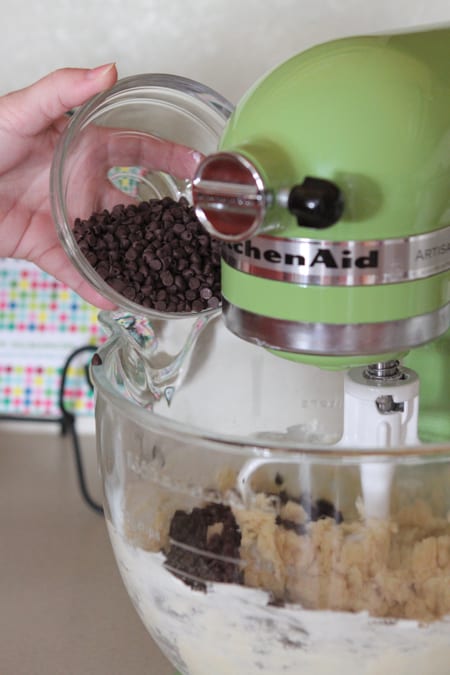 Marshmallow Chocolate Chip Shorbread Magic Bars