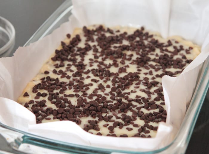 Marshmallow Chocolate Chip Shortbread Magic Bars 