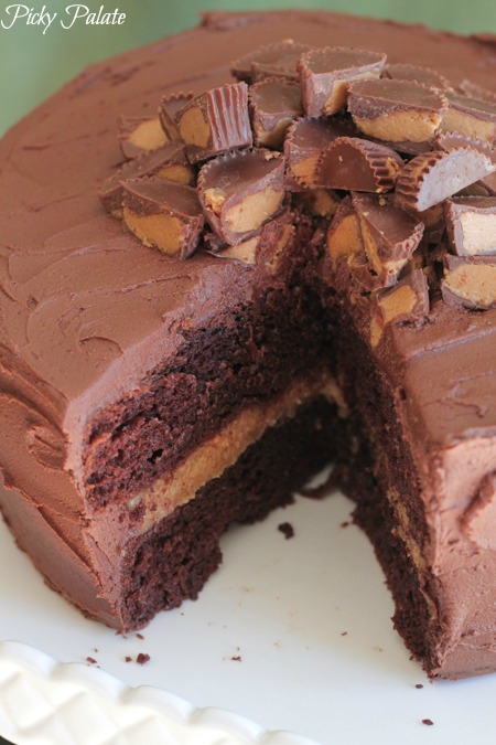 Pastel de chocolate en capas de masa de galleta de mantequilla de maní-24t