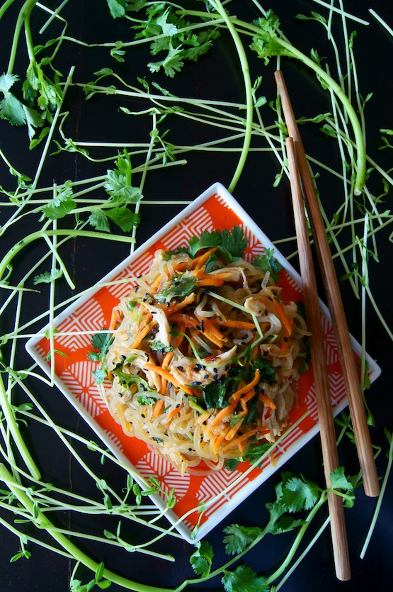 ¡21 recetas sobresalientes de fideos Shirataki para disfrutar de esta pasta sin calorías de cero calorías de Japón! #glutenfree #paleo #keto #lowcarb | cocinartheglobe.com