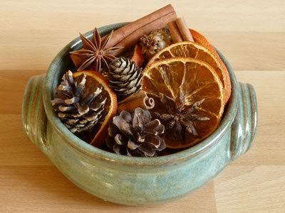 Rebanadas de naranja seca de Navidad | 31Daily.com