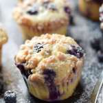 Muffins de arándanos de crema agria en una bandeja para hornear