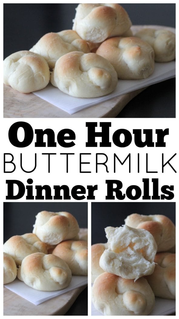 Rollos de cena