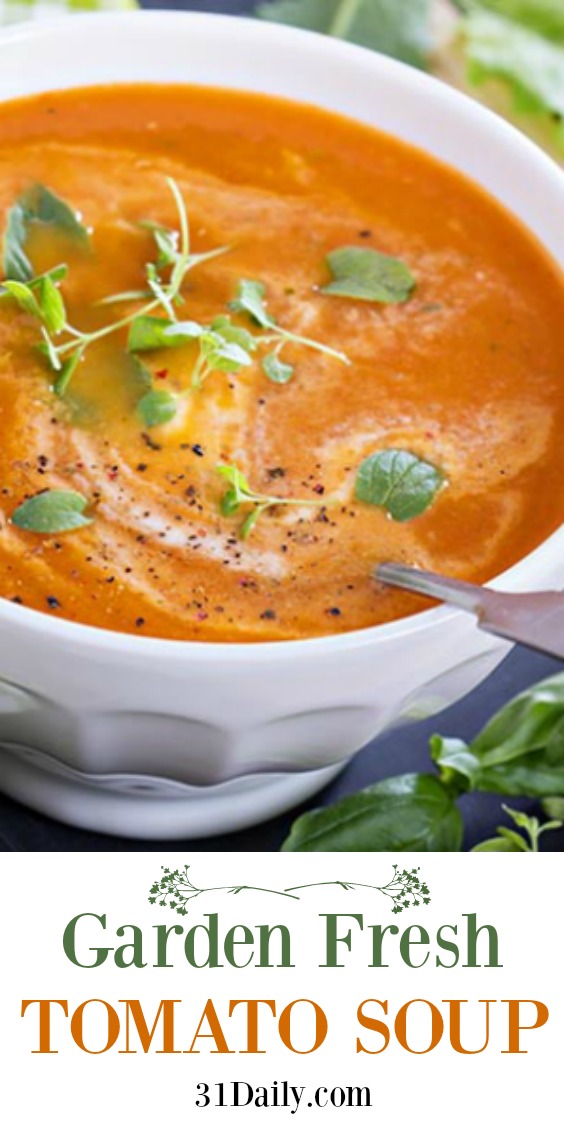 Sopa de tomate de jardín fresco | 31Daily.com