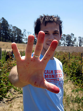 Swanton-berry-mano