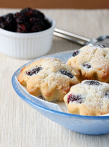 Cupcakes De Ollalieberry