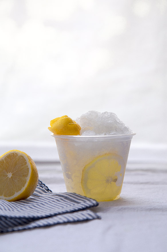 Vodka Tonic Slush
