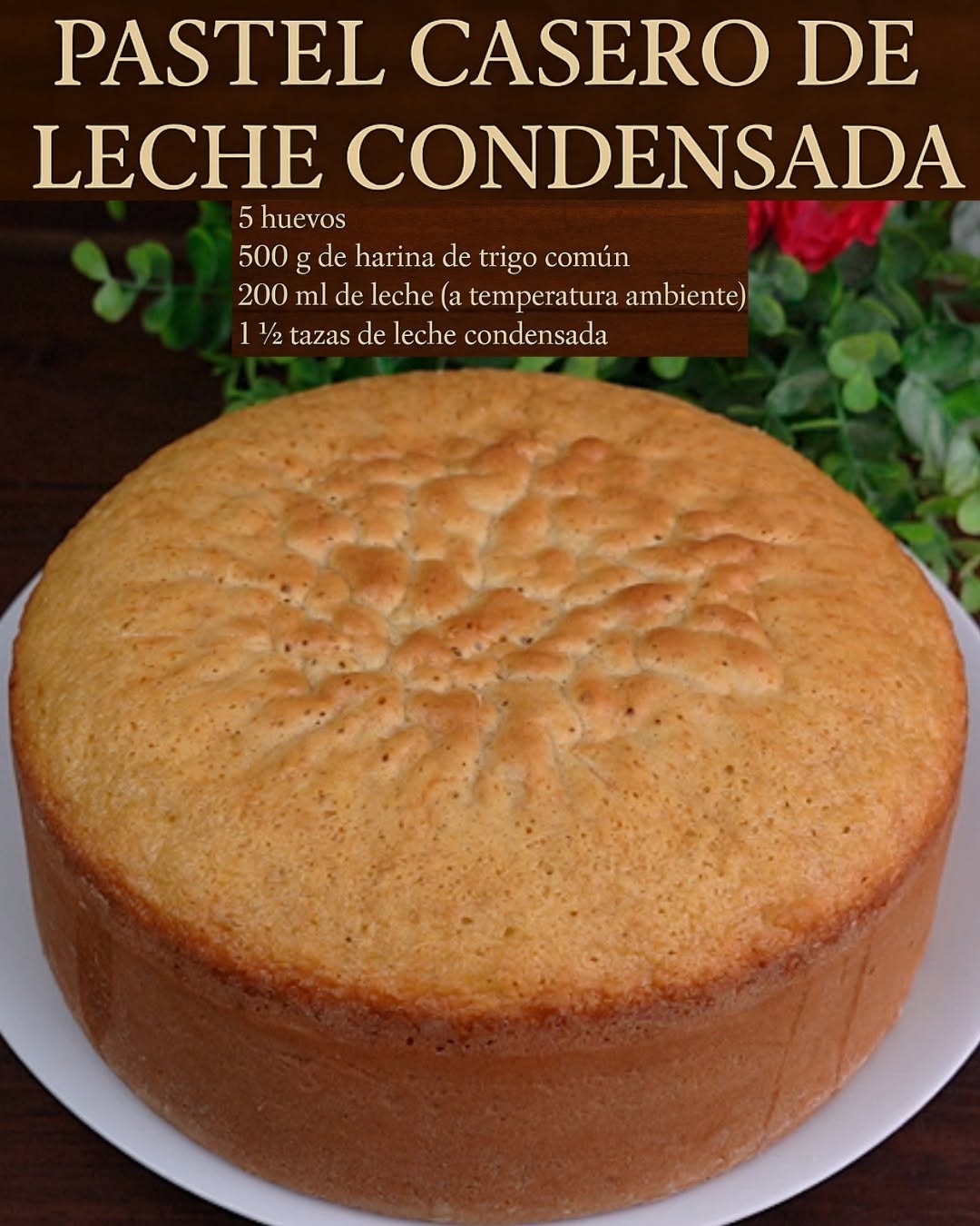 PASTEL CASERO DE LECHE CONDENSADA