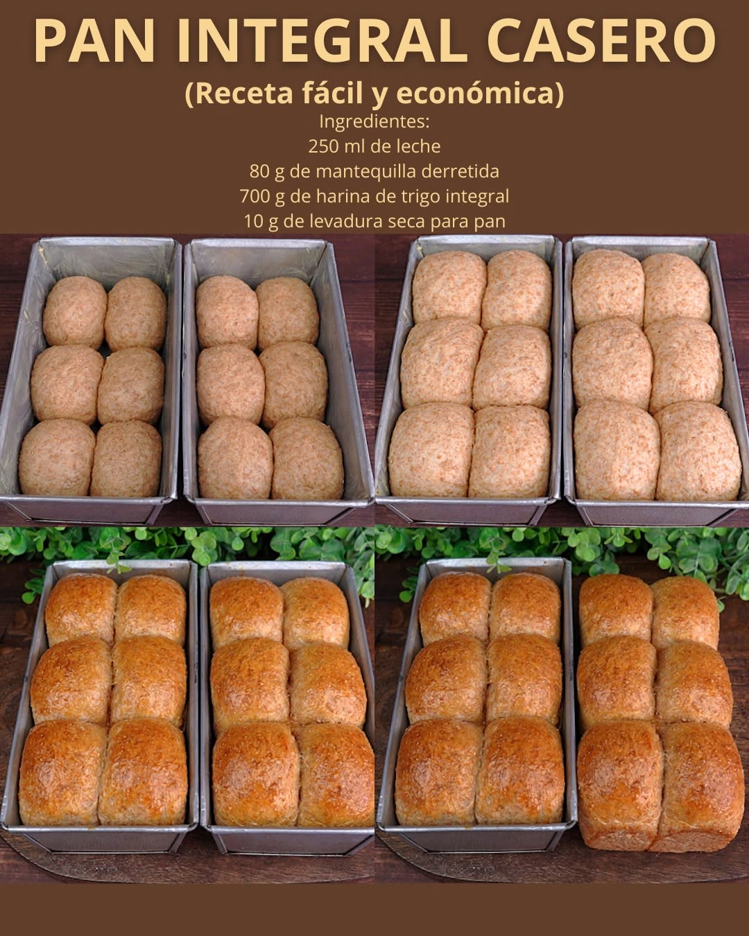 PAN INTEGRAL CASERO  (receta fácil y económica)