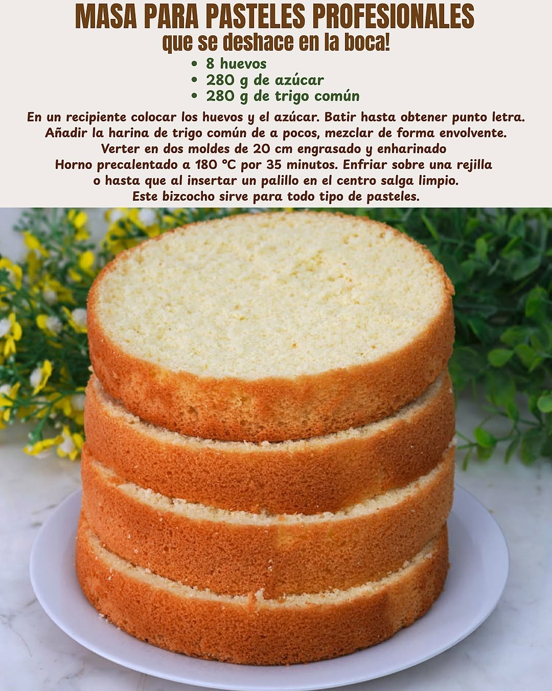MASA PARA PASTELES PROFESIONALES que se deshace en la boca